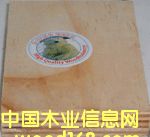 ���O����ľˮ��ģ���Ԕ����B