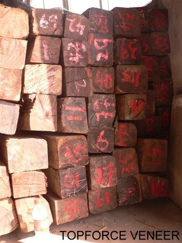 ӡ�����������ں�̴ľ��(�F؛-����)��Ԕ����B