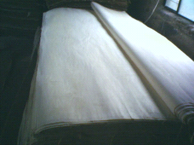 ��ľ��Ƥ Ư�׵�Ԕ����B