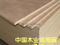 �W�����z�ϰ��Ԕ��(x��)��B