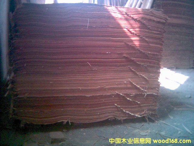 �sľ��Ԕ����B