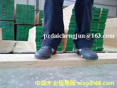 �c(di��n)���鿴ľ̤��Ŵ�DƬ