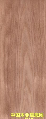 ��ľľƤ��Ԕ����B