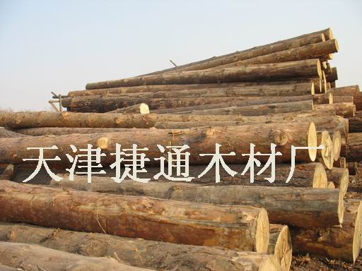 ���_˹������