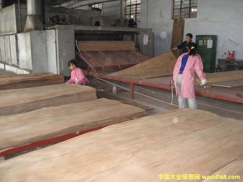 ����ľ�ΰ��Ԕ����B