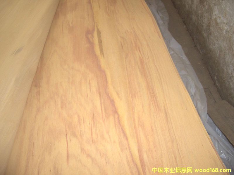 ɽ�𻨆ΰ��Ԕ����B