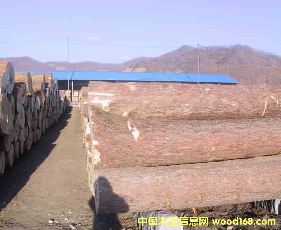 ��ľ����ľ���ľ��Ԕ��(x��)��B