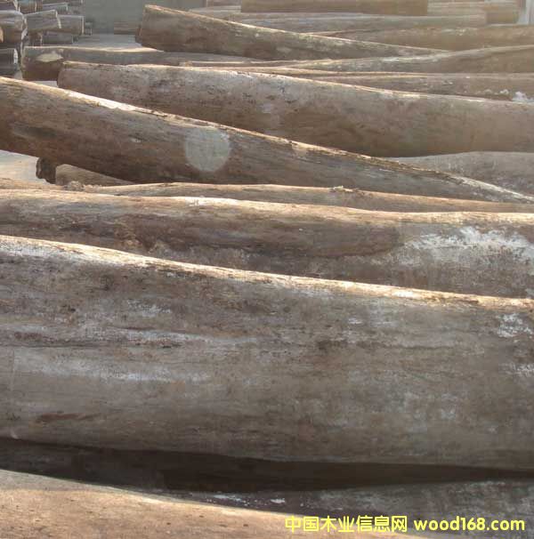 �����u��ľ��Ԕ����B