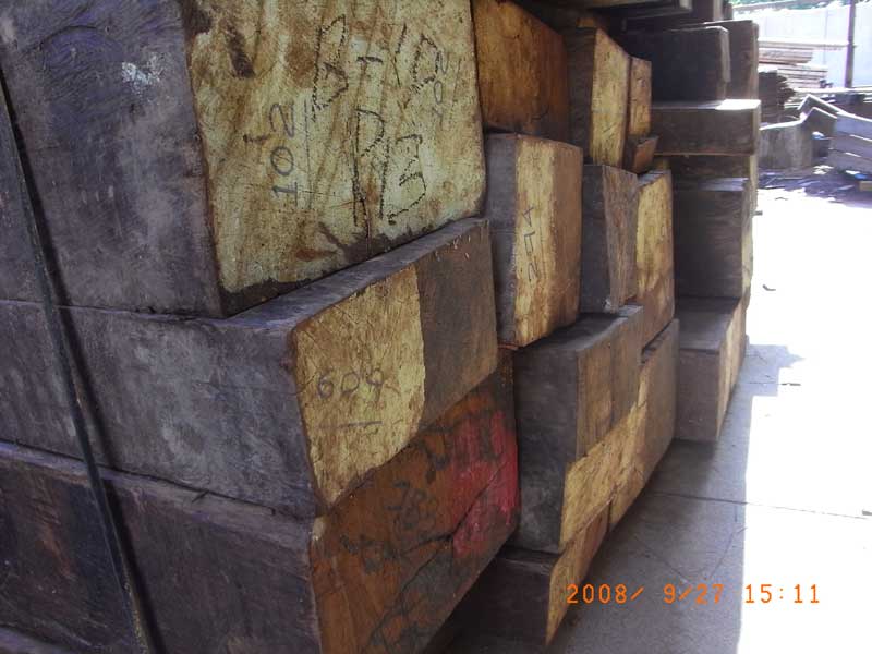 ����ľ��Ԕ����B