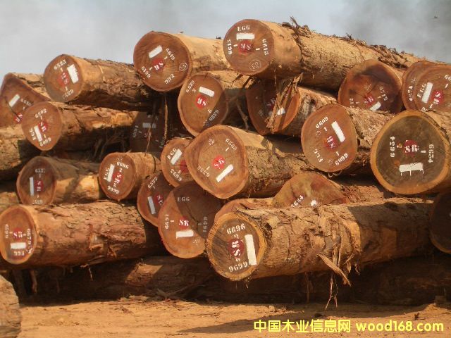 ����okan ԭľ