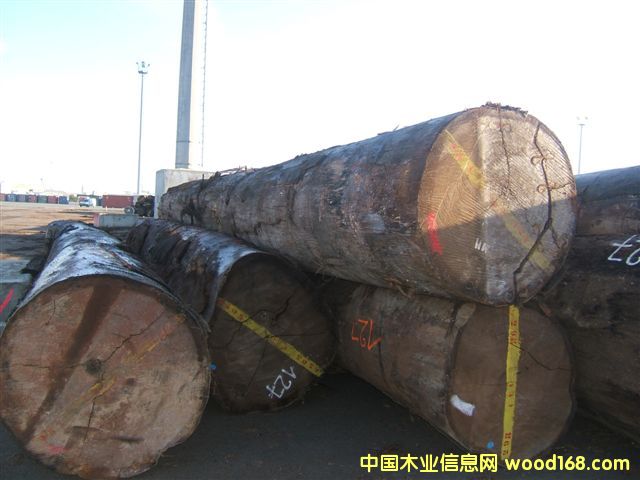 �����W������Ԕ����B