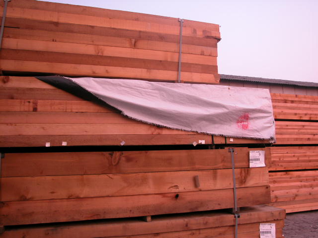 �tѩ�ɬF؛��Ԕ����B