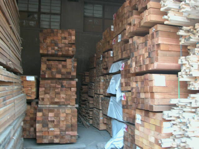 �tѩ�ɬF؛��Ԕ����B