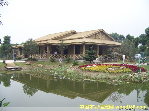 ����ľ�ݵ�Ԕ����B