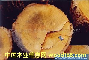 ԭľ��Ԕ����B