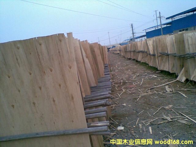 ��ľ�ΰ��Ԕ����B