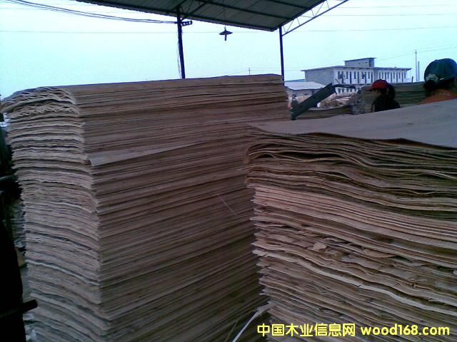 ��ľ�ΰ��Ԕ����B