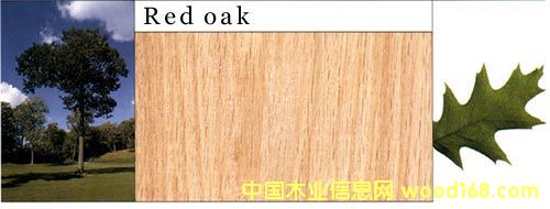 ���������Ԕ����B