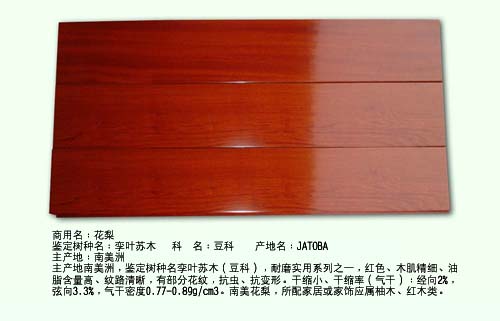 ����ľ��Ԕ����B