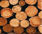 ݗ����ԭľ�D��Ԕ����B