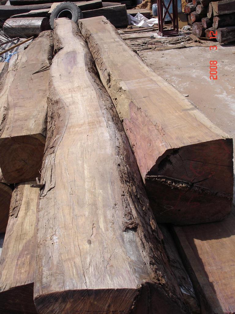 �������ϵ�Ԕ����B