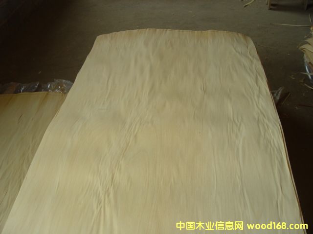 ��ľ����ģ���Ԕ����B