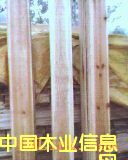 ɼľ��l��Ԕ��(x��)��B