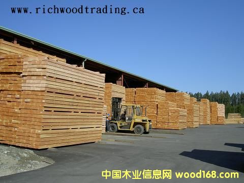 ������ �Fɼ ��ɼ SFP��Ԕ����B