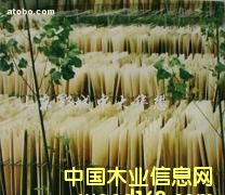 �п����o���ΰ��Ԕ����B