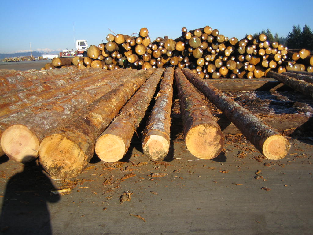 ���������ɵ�Ԕ����B