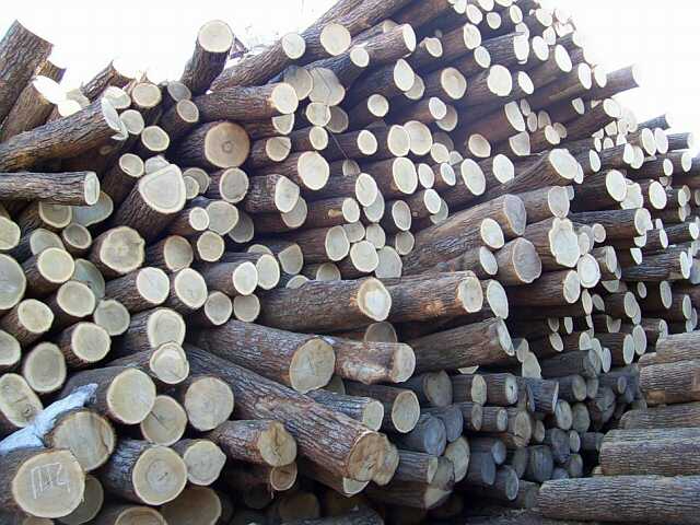 ��ľ��Ԕ����B