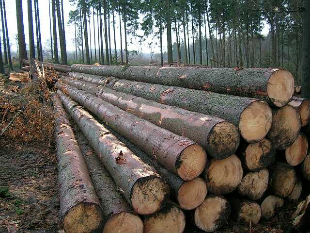 ����ɼ��Ԕ����B