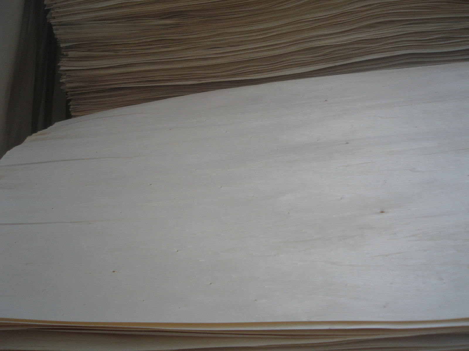 ��ľ������Ƥ��Ԕ����B