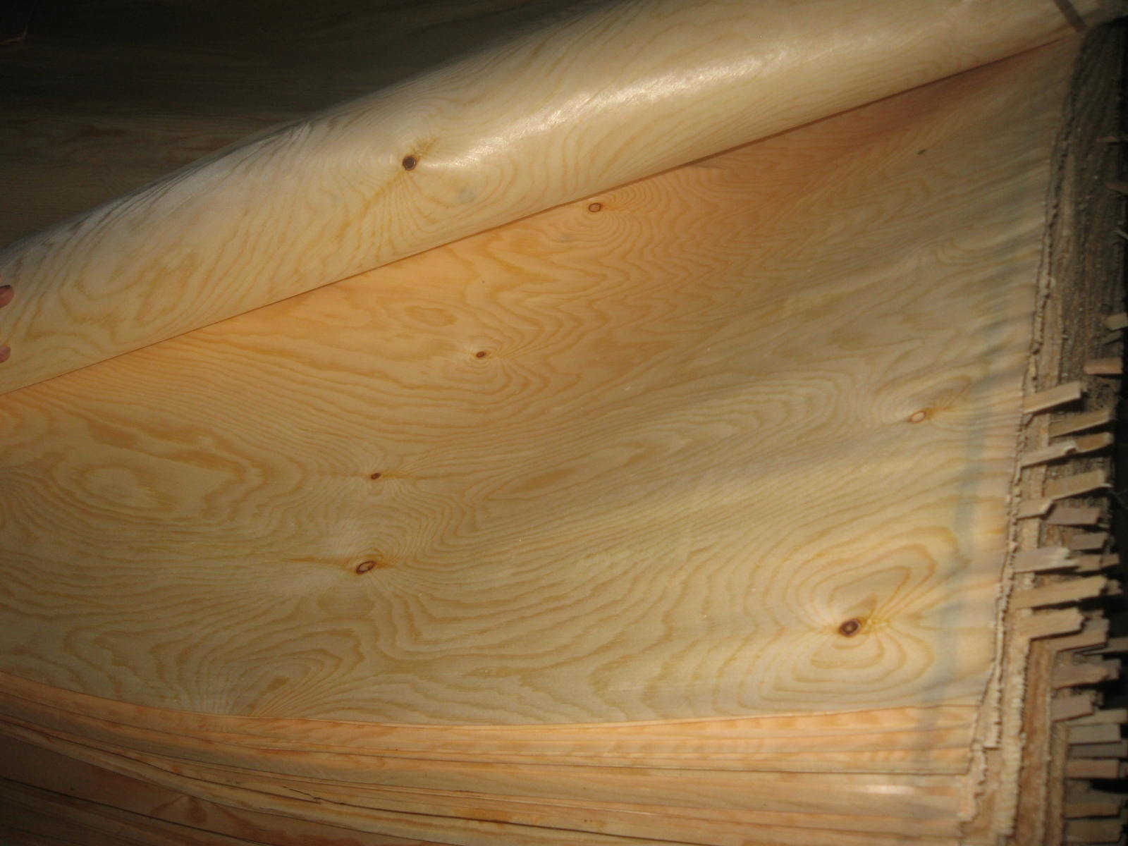 ��ľ��Ƥ��Ԕ����B