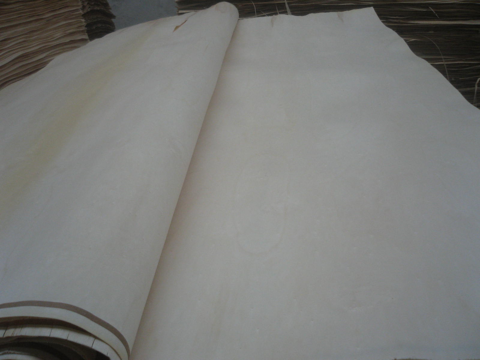 ��ľ������Ƥ��Ԕ����B