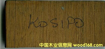 KASIPO��Ԕ����B