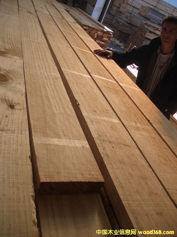 �����mݗ���ɵ�Ԕ����B