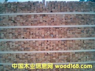 ���_˹�����ɵ�Ԕ����B