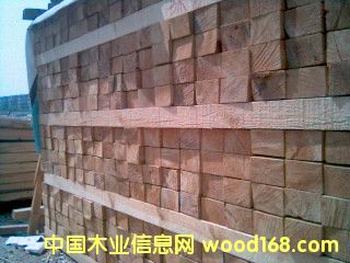 �����ɵ�Ԕ����B