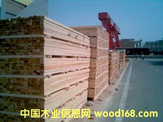 �|����ľ��Ԕ����B