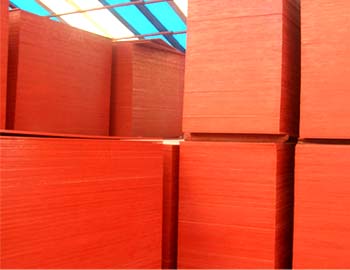 ��ţ����ģ��