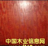 ����ţ���� ģ��