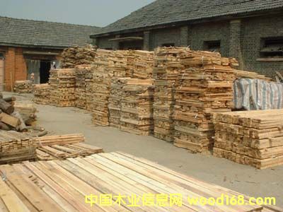 12��Ԕ����B