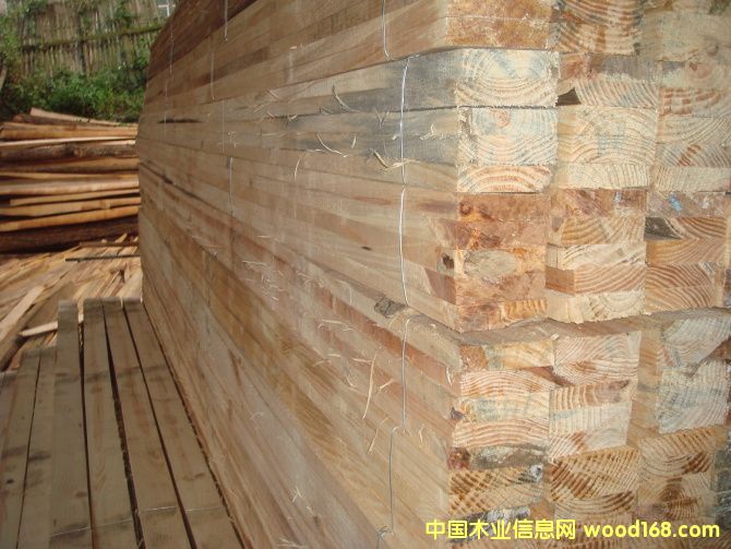 5��Ԕ����B