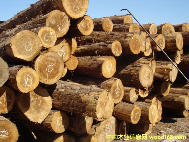 4��Ԕ����B