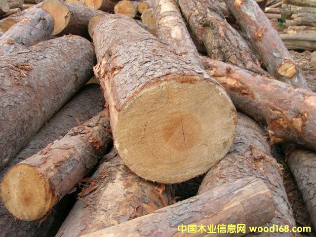 6��Ԕ����B