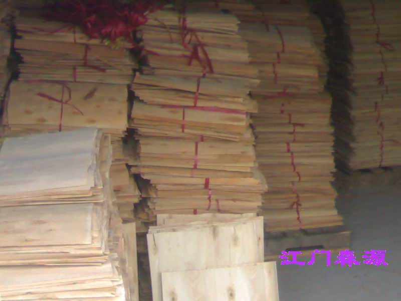 ��˽��ľ�ΰ��Ԕ����B