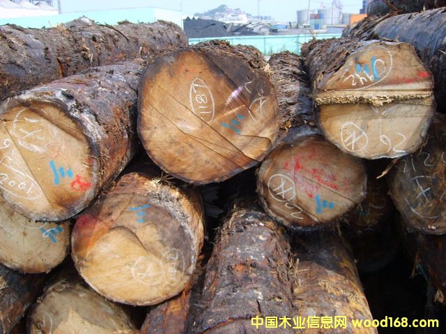 �Fɼ��Ԕ��(x��)��B