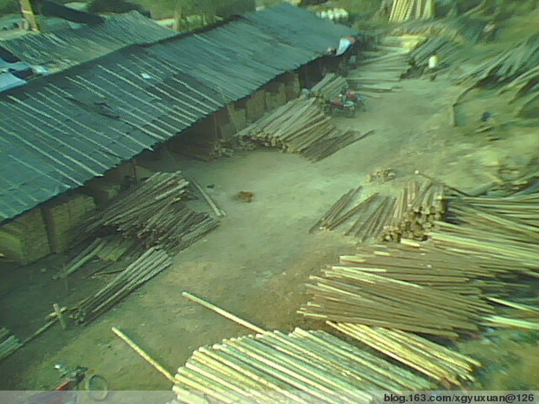 �c���鿴ɼԭľ(�D)�Ŵ�DƬ