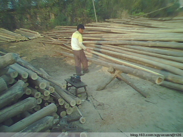 �c���鿴ɼԭľ(�D)�Ŵ�DƬ